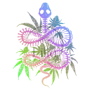 Slither High