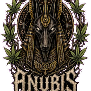 Anubis