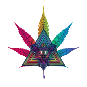 HighQuettra